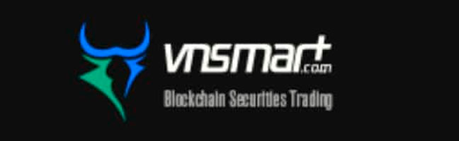 Vnsmart Review